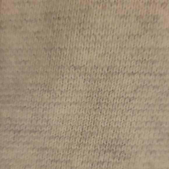 Banana Republic Gray Athletic Shorts with Elastic Waistband - Picture 3 of 5